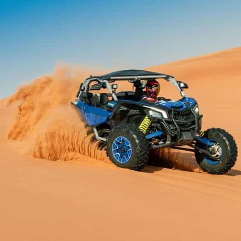 Into the Wild : une passionnante promenade en buggy à travers les dunes