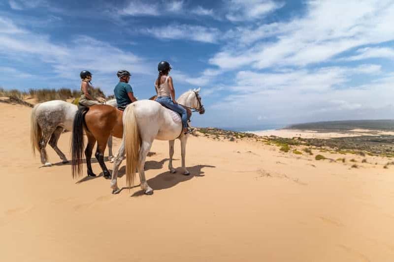Algarve : 1 heure d'équitation à Carrapateira
