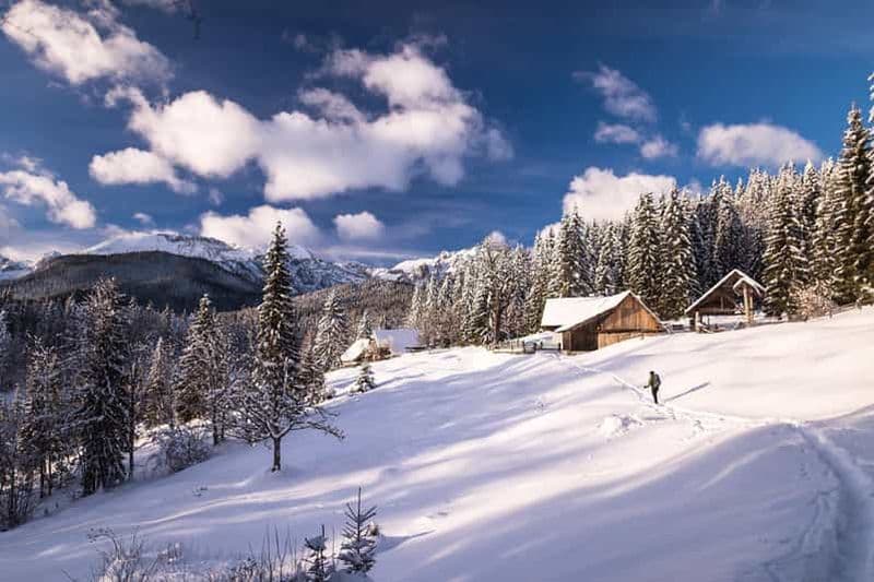 Innsbruck-Stubaital : Randonnées en raquettes dans les forêts tyroliennes