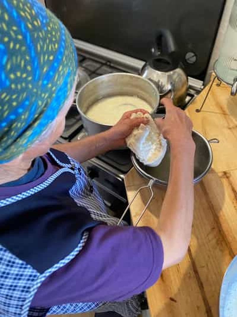 Atelier de fabrication de fromage de chèvre avec dégustation