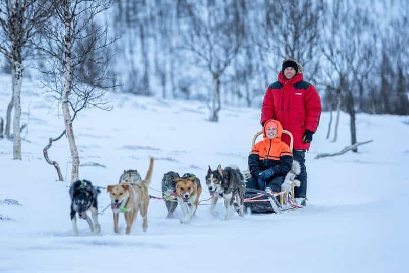 Au départ de Tromsø : Randonnée avancée en traîneau à chiens au Camp Tamok