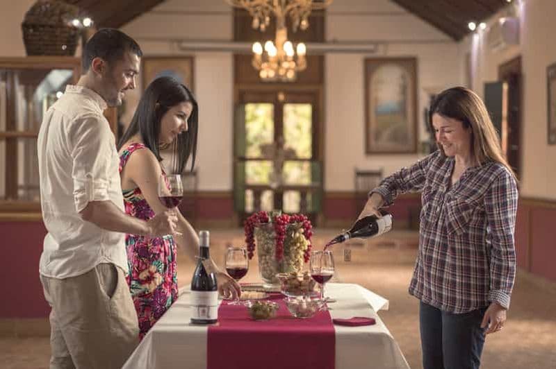 Gran Canaria : Visite d'un vignoble, musée du vin et dégustation