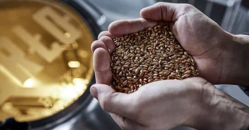 Berlin : Visite de la BRLO BRWHOUSE et dégustation de bières artisanales