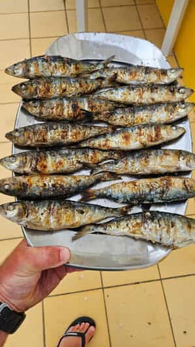 Surf & Gastro et View Point