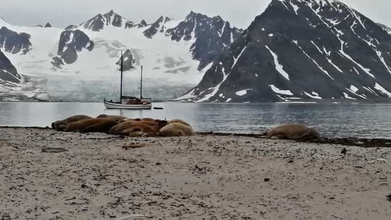 Longyearbyen : croisière de 10 jours au Spitzberg à bord du Havella