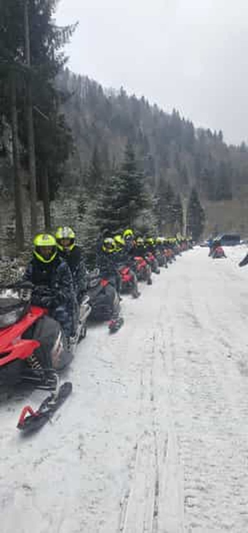 Au départ de Bucarest : excursion en motoneige dans les Carpates