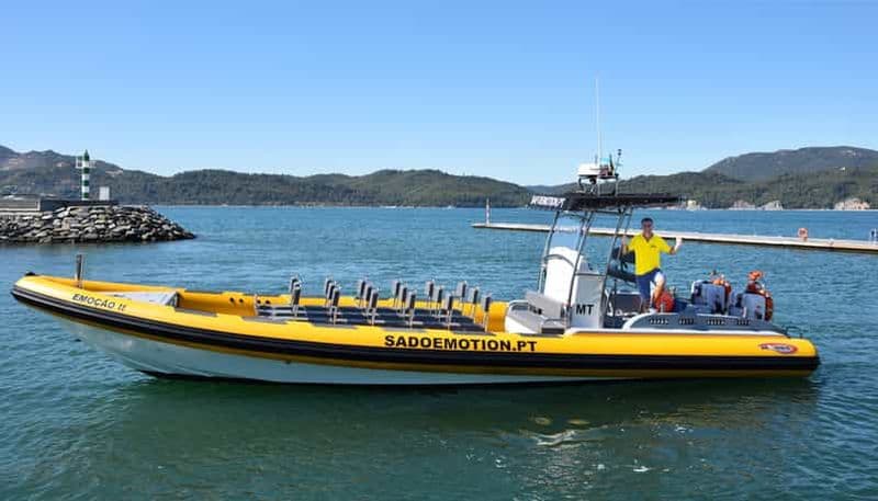 Setúbal et Tróia : Observation des dauphins et baies d'Arrábida
