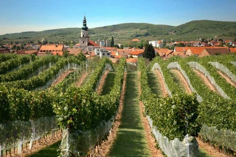 Bratislava : 6,5 heures de visite et de dégustation des vins des Carpates