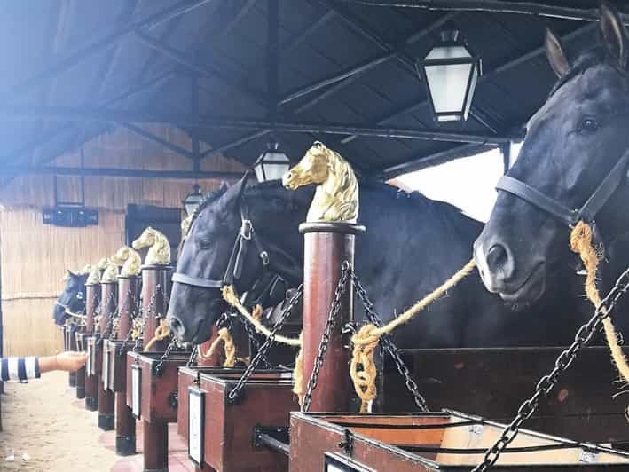 Visite privée d'une journée Le Tage, l'huile d'olive, les caves et les chevaux