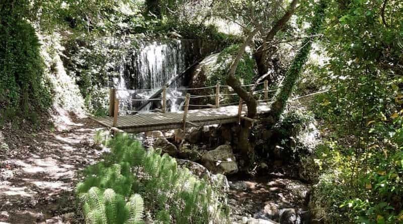 Lefkada : randonnée sur le sentier des sources avec dégustation d'huile d'olive