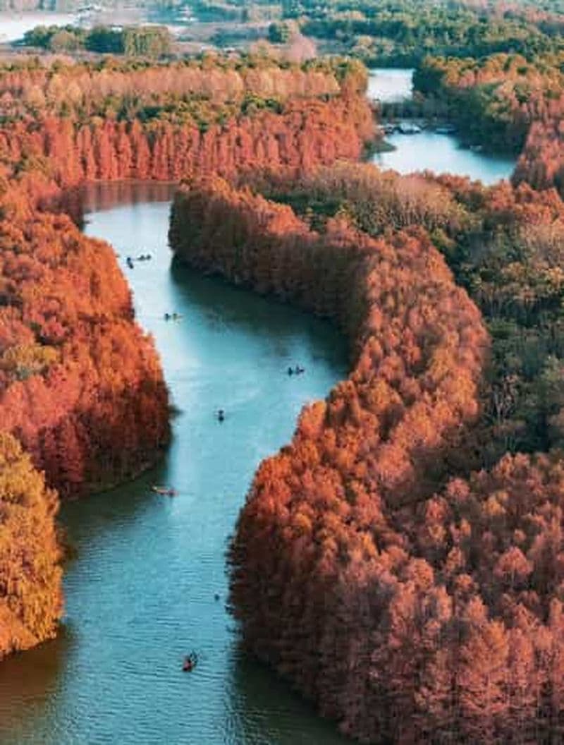 Shanghai : aventure en kayak dans le parc forestier de la baie de Shanghai