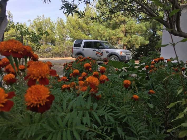 Rhodes : Visite d'une jounée de safari nordique en 4x4