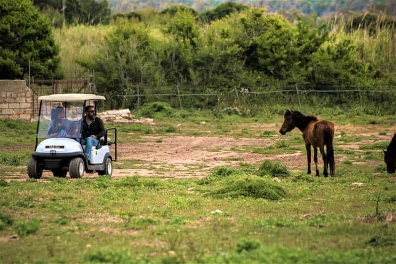 Alghero : Location de voiture de golf dans le parc naturel de Porto Conte