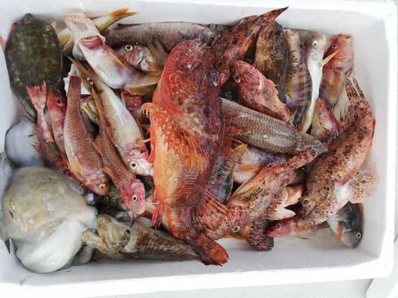 Zakynthos : Visite d'une journée à la pêche écologique traditionnelle avec repas