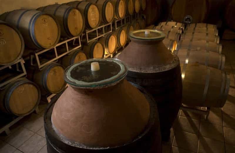 Visite de cave avec dégustation de vins et mets près de Riccione et Rimini