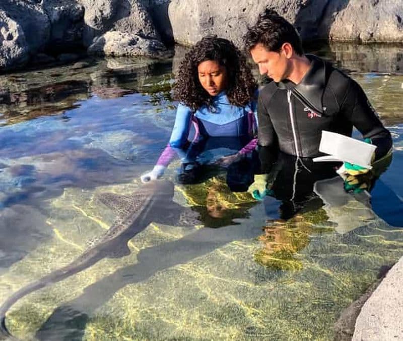 Océanarium Odysseo : Rencontre avec des requins zèbres et nourrissage
