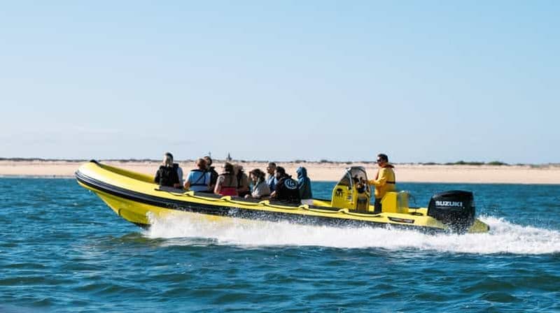 Au départ de Faro : Croisière dans les arrêts à arrêts multiples à Ria Formosa