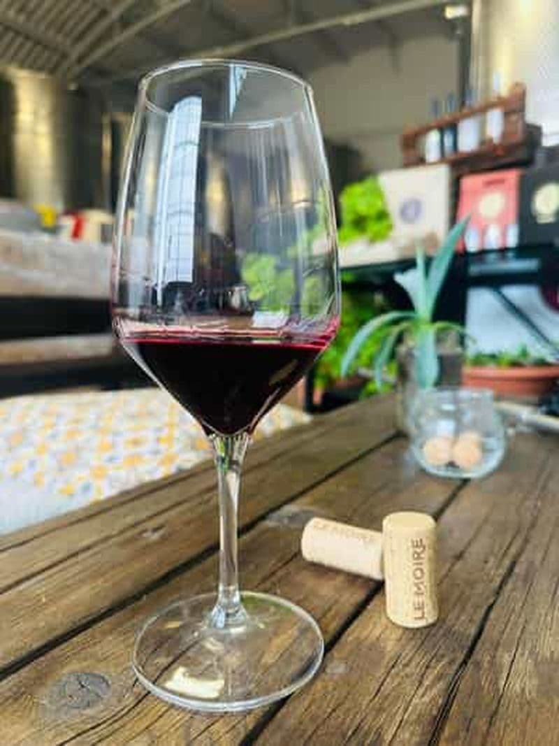 Savuto : Visite des vignobles et de la cave avec dégustation