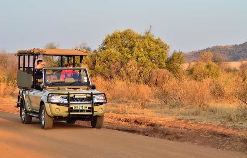 Safari partagé d'une journée complète à Pilanesberg avec visite de Sun City