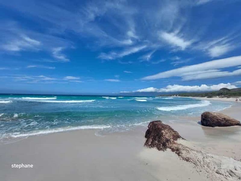 Au départ de Calvi : excursion d'une journée en 4x4 à la montagne et à la plage de Saleccia des Agriates
