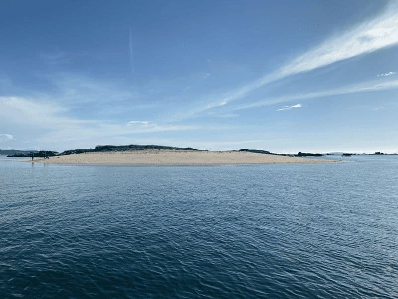 Ría de Arousa : Croisière en voilier de jour ou au coucher du soleil avec boissons
