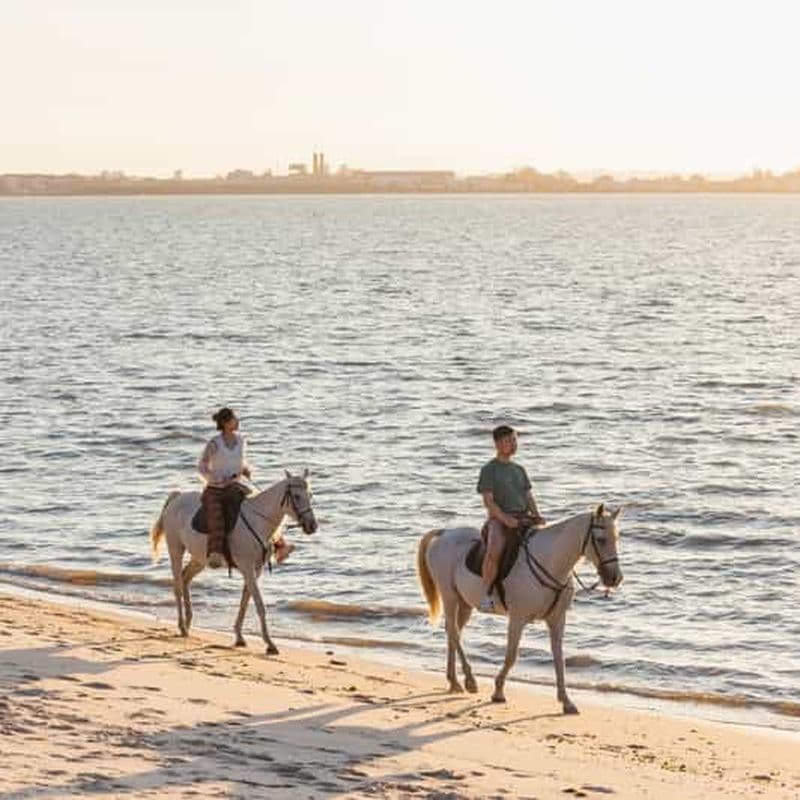 Balade à cheval sur la plage au coucher du soleil