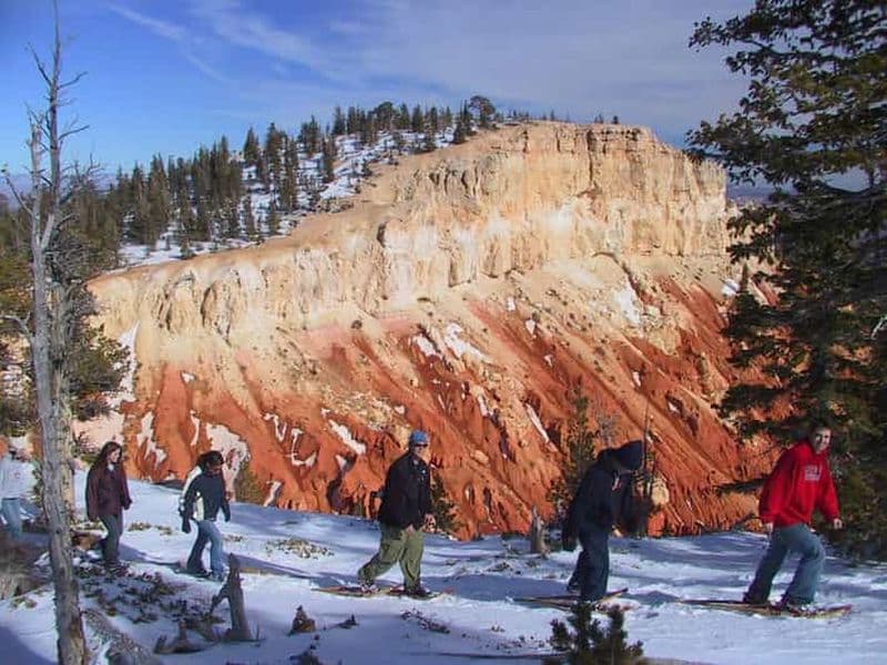 Vallée d'Aoste : Cours de raquettes à neige dans des forêts d'hiver enchantées
