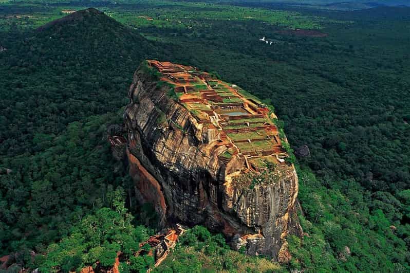 Au départ de Colombo : excursion d'une journée à Sigiriya / Dambulla et safari