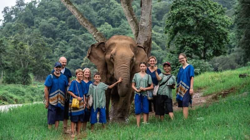 Billet Chiang Mai : Soins aux éléphants, rafting en bambou et chute d'eau