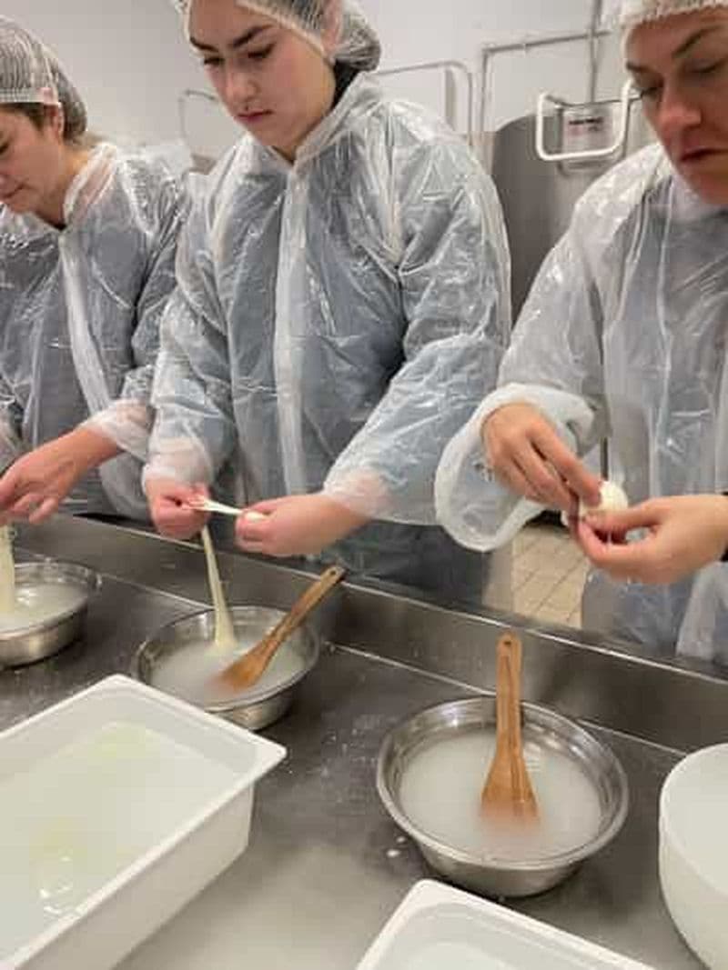 Pise : Expérience Privée Exclusive de Fabrication et de Dégustation de Fromages