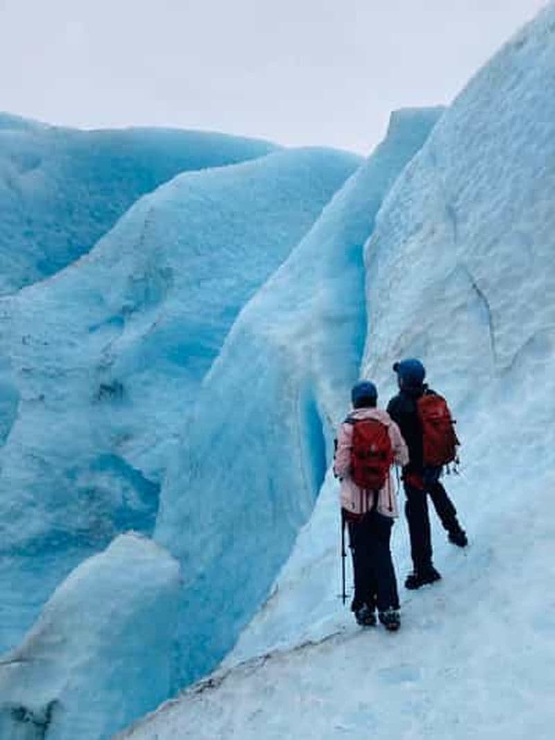 Aventure d'escalade sur glace à l'Exit Glacier