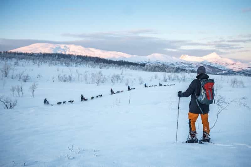 Au départ de Tromsø : Randonnée guidée en raquettes à Husky et visite du camp des Husky