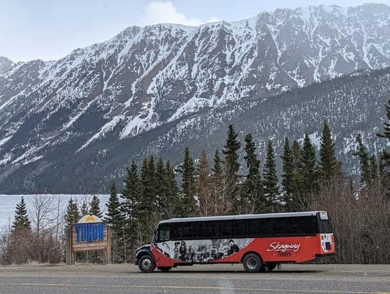 Skagway : Visite en bus de la route du Klondike et du Yukon avec Husky Kennel