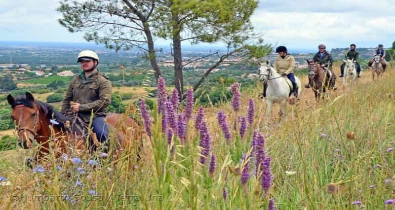 Randonnée à cheval dans la vallée, près de Lisbonne