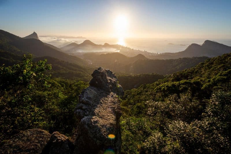 Forêt de Tijuca
