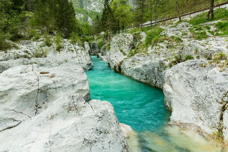 Rafting sur la rivière Soča à Bovec