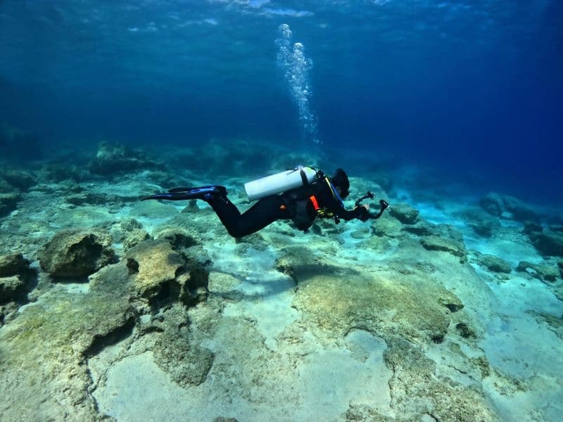 Plongée sous-marine à Bodrum