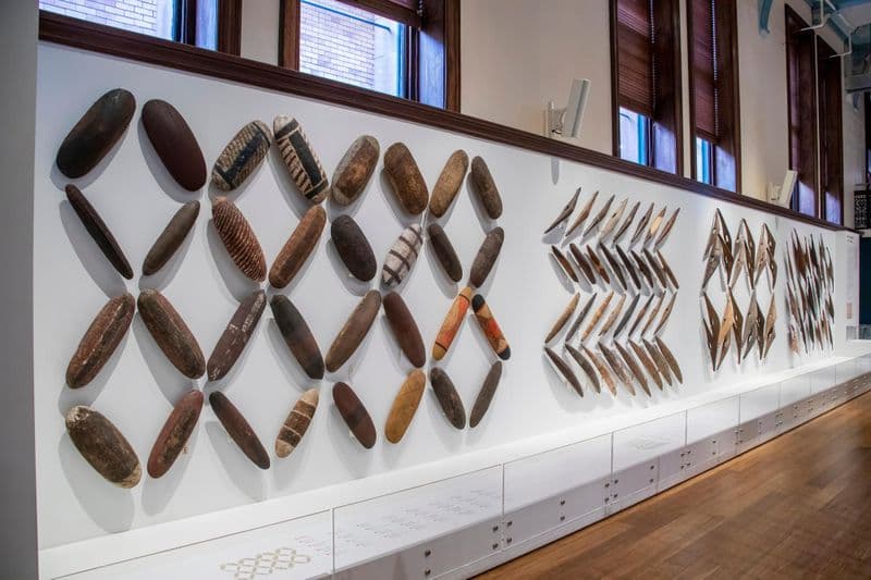 Australian Museum Sydney