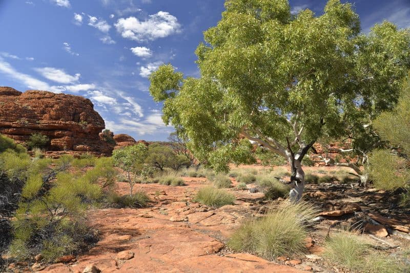 Parc national de Kings Canyon