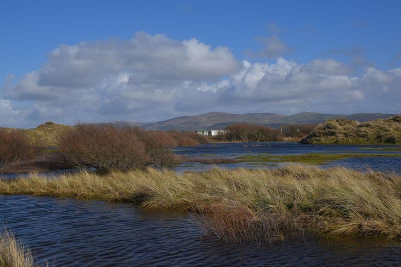 Réserve naturelle de Ynyslas