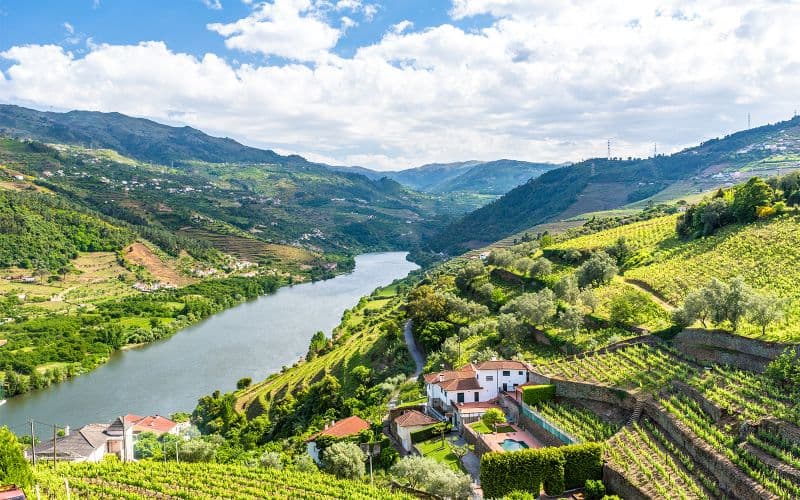 Visite guidée classique de la vallée du Douro avec croisière d'une heure sur le Pinhão, déjeuner traditionnel et dégustations de vins