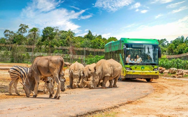 [Combo une journée] Billets pour Vinpearl Safari et VinWonders