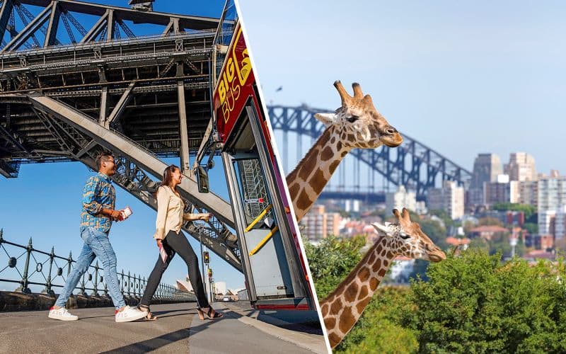 Billet Combo : Big Bus Sydney Hop-on Hop-off Tour + Taronga Zoo Tickets