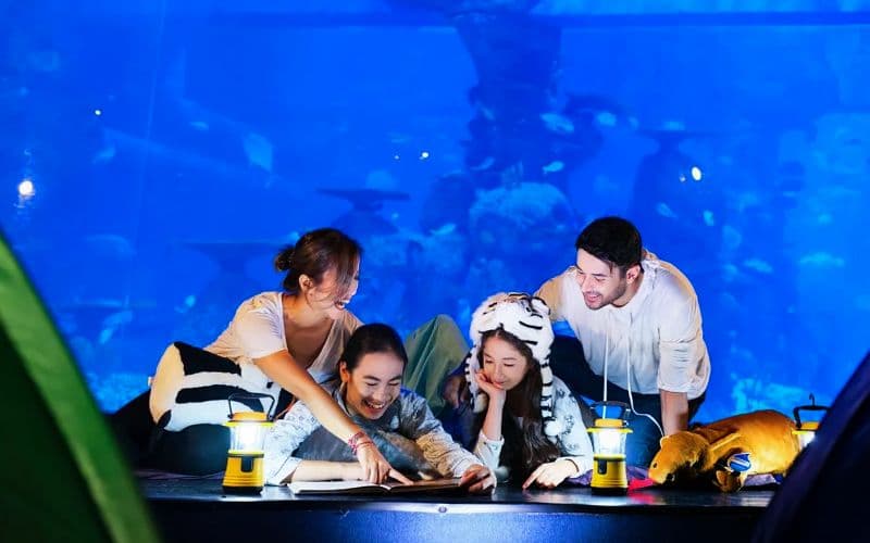 Billets pour le safari de l'aquarium de Jakarta