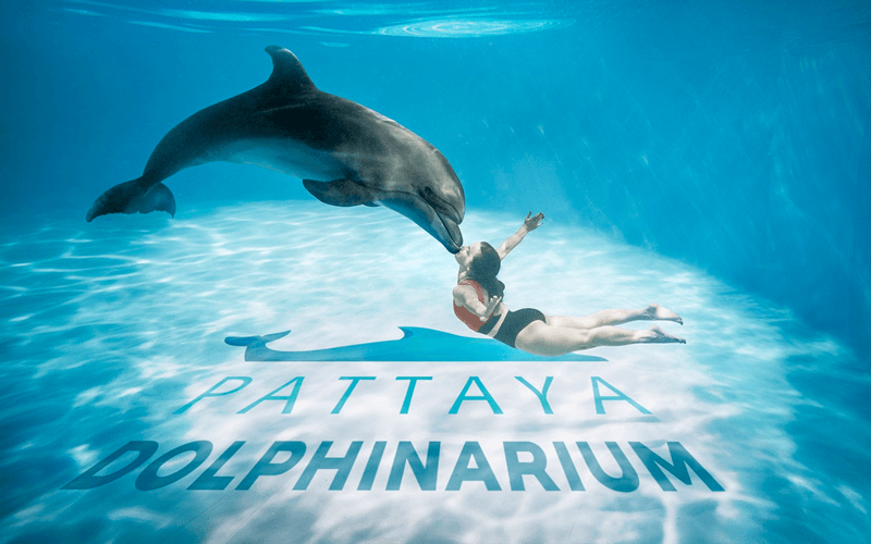 Dolphinarium Pattaya - Nager avec les dauphins
