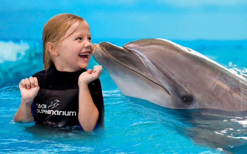 Dubai Dolphinarium : Billets VIP pour le spectacle des dauphins et des phoques + rencontre avec les dauphins