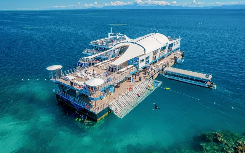 Billet Croisière avec plongée avec tuba de Cairns à la Grande Barrière de Corail, activités sur ponton et déjeuner par Reef Magic