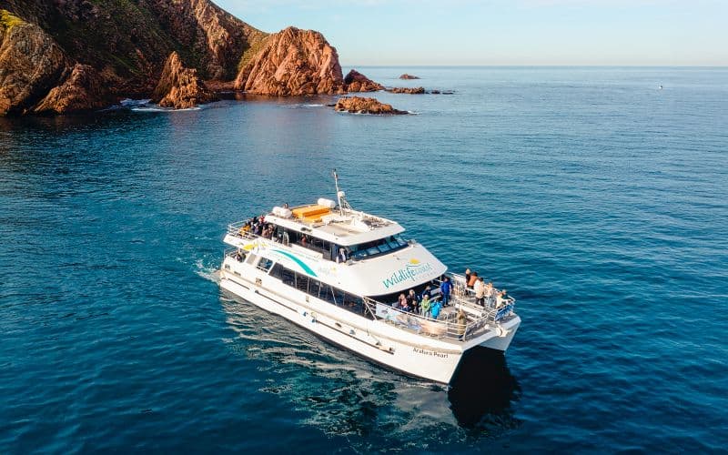 [Non inclus : 10% de réduction] Croisière matinale au Cap Woolamai à Phillip Island