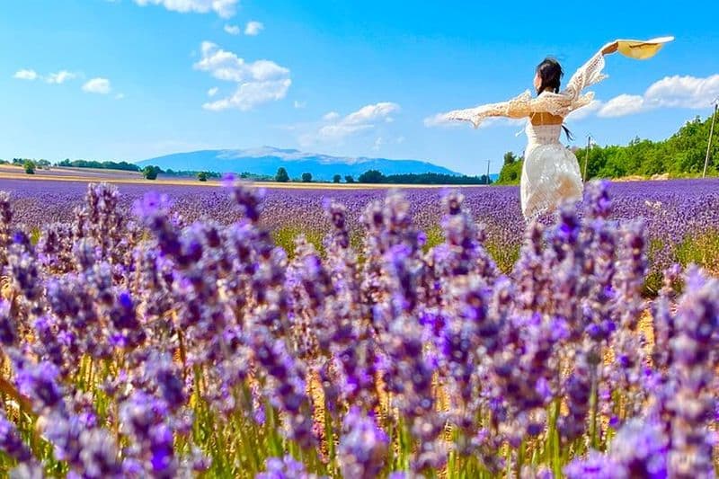 Billet Excursion à Gordes, à Roussillon et à l'Abbaye de Notre-Dame de Sénanque depuis Avignon