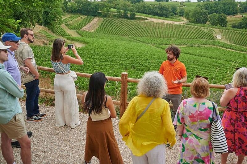Dégustation de vins à Saint-Émilion